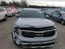 کیا تێلوراید